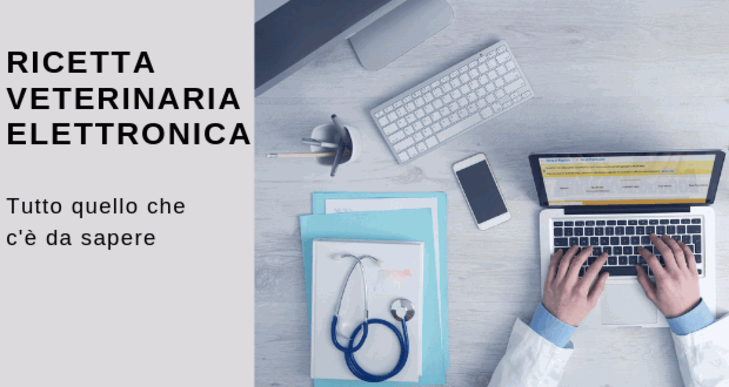 Ricetta elettronica veterinaria